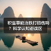 积雪草能治跌打损伤吗？科学认知避误区（图4）