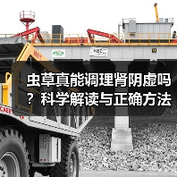 虫草真能调理肾阴虚吗？科学解读与正确方法（图3）