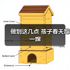 做到这几点 孩子春天蹿一蹿(图2) 做到这几点 孩子春天蹿一蹿(图2)