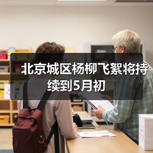 北京城区杨柳飞絮将持续到5月初(图4) 北京城区杨柳飞絮将持续到5月初(图4)