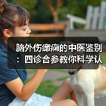 脑外伤癫痫的中医鉴别:四诊合参教你科学认识诊断逻辑(图3) 脑外伤癫痫的中医鉴别:四诊合参教你科学认识诊断逻辑(图3)
