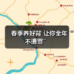 春季养好背 让你全年“不遭罪”(图3) 春季养好背 让你全年“不遭罪”(图3)