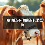疫情挡不住的崇礼滑雪热(图3) 疫情挡不住的崇礼滑雪热(图3)