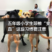 五年级小学生颈椎“变直”这些习惯要注意(图4) 五年级小学生颈椎“变直”这些习惯要注意(图4)