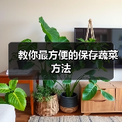教你最方便的保存蔬菜方法(图2) 教你最方便的保存蔬菜方法(图2)