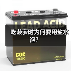 吃菠萝时为何要用盐水泡?(图1) 吃菠萝时为何要用盐水泡?(图1)