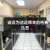 谁该为运动带来的伤害负责(图3) 谁该为运动带来的伤害负责(图3)