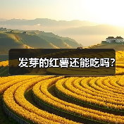 发芽的红薯还能吃吗?(图2) 发芽的红薯还能吃吗?(图2)