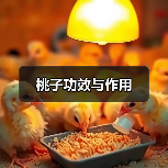 桃子功效与作用(图4) 桃子功效与作用(图4)