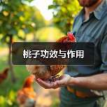 桃子功效与作用(图2) 桃子功效与作用(图2)