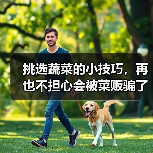挑选蔬菜的小技巧,再也不担心会被菜贩骗了!(图2) 挑选蔬菜的小技巧,再也不担心会被菜贩骗了!(图2)