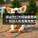 运动员们为何偏爱香蕉?普通人吃香蕉需要注意啥?(图2) 运动员们为何偏爱香蕉?普通人吃香蕉需要注意啥?(图2)