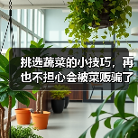 挑选蔬菜的小技巧，再也不担心会被菜贩骗了！（图4）