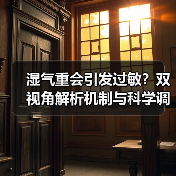 湿气重会引发过敏？双视角解析机制与科学调理指南