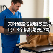 艾叶加醋泡脚能改善失眠?3个机制与要点需了解(图3) 艾叶加醋泡脚能改善失眠?3个机制与要点需了解(图3)