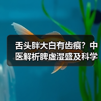 舌头胖大白有齿痕?中医解析脾虚湿盛及科学调理方案(图2) 舌头胖大白有齿痕?中医解析脾虚湿盛及科学调理方案(图2)