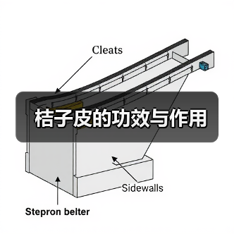 桔子皮的功效与作用(图4) 桔子皮的功效与作用(图4)