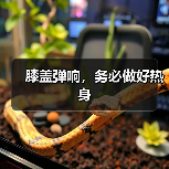 膝盖弹响,务必做好热身(图3) 膝盖弹响,务必做好热身(图3)