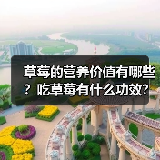 草莓的营养价值有哪些？吃草莓有什么功效？