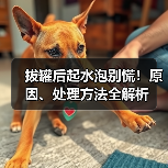 拔罐后起水泡别慌！原因、处理方法全解析