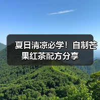夏日清凉必学！自制芒果红茶配方分享（图3）