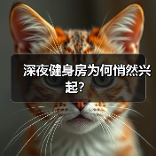 深夜健身房为何悄然兴起？