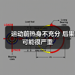 运动前热身不充分 后果可能很严重(图1) 运动前热身不充分 后果可能很严重(图1)