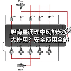 胆南星调理中风能起多大作用?安全使用全解析(图3) 胆南星调理中风能起多大作用?安全使用全解析(图3)