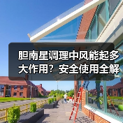 胆南星调理中风能起多大作用?安全使用全解析(图2) 胆南星调理中风能起多大作用?安全使用全解析(图2)