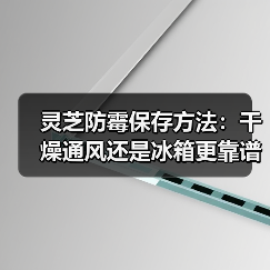 灵芝防霉保存方法:干燥通风还是冰箱更靠谱?(图1) 灵芝防霉保存方法:干燥通风还是冰箱更靠谱?(图1)