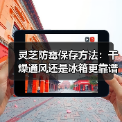 灵芝防霉保存方法:干燥通风还是冰箱更靠谱?(图2) 灵芝防霉保存方法:干燥通风还是冰箱更靠谱?(图2)