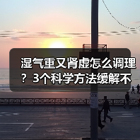 湿气重又肾虚怎么调理?3个科学方法缓解不适(图4) 湿气重又肾虚怎么调理?3个科学方法缓解不适(图4)