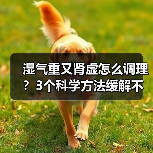 湿气重又肾虚怎么调理?3个科学方法缓解不适(图2) 湿气重又肾虚怎么调理?3个科学方法缓解不适(图2)
