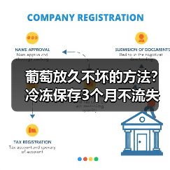 葡萄放久不坏的方法?冷冻保存3个月不流失营养(图3) 葡萄放久不坏的方法?冷冻保存3个月不流失营养(图3)