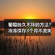 葡萄放久不坏的方法?冷冻保存3个月不流失营养(图2) 葡萄放久不坏的方法?冷冻保存3个月不流失营养(图2)
