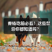 香椿吃前必看!这些禁忌你都知道吗?(图1) 香椿吃前必看!这些禁忌你都知道吗?(图1)