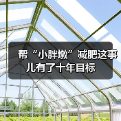 帮“小胖墩”减肥这事儿有了十年目标(图3) 帮“小胖墩”减肥这事儿有了十年目标(图3)