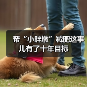 帮“小胖墩”减肥这事儿有了十年目标(图2) 帮“小胖墩”减肥这事儿有了十年目标(图2)
