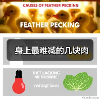 身上最难减的几块肉(图2) 身上最难减的几块肉(图2)