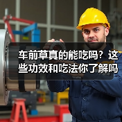 车前草真的能吃吗?这些功效和吃法你了解吗?(图4) 车前草真的能吃吗?这些功效和吃法你了解吗?(图4)