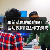 车前草真的能吃吗?这些功效和吃法你了解吗?(图3) 车前草真的能吃吗?这些功效和吃法你了解吗?(图3)