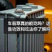 车前草真的能吃吗？这些功效和吃法你了解吗？