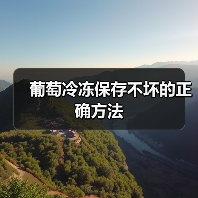 葡萄冷冻保存不坏的正确方法(图3) 葡萄冷冻保存不坏的正确方法(图3)