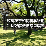 玫瑰花茶如何科学饮用?功效解析与常见误区避坑指南(图3) 玫瑰花茶如何科学饮用?功效解析与常见误区避坑指南(图3)