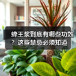 蜂王浆到底有哪些功效？这些禁忌必须知道
