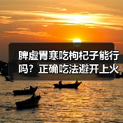 脾虚胃寒吃枸杞子能行吗？正确吃法避开上火风险（图2）