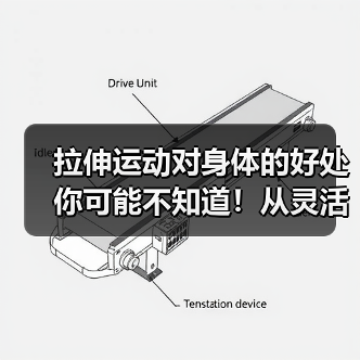 拉伸运动对身体的好处你可能不知道!从灵活到预防受伤全解析(图3) 拉伸运动对身体的好处你可能不知道!从灵活到预防受伤全解析(图3)