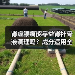 肾虚腰痛能靠益肾补骨液调理吗?成分适用全解析(图3) 肾虚腰痛能靠益肾补骨液调理吗?成分适用全解析(图3)