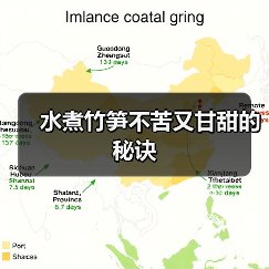 水煮竹笋不苦又甘甜的秘诀
