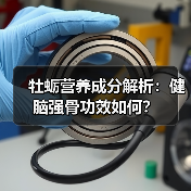 牡蛎营养成分解析：健脑强骨功效如何？